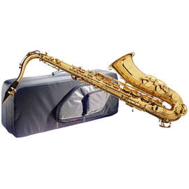 Саксофон STAGG 77-ST/SC